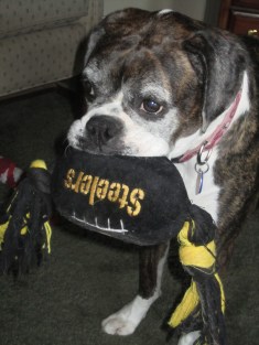 This should have been a sign of a bad season!