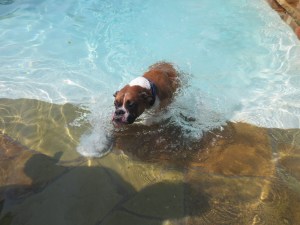 I think I'm trying out for the Olympics!