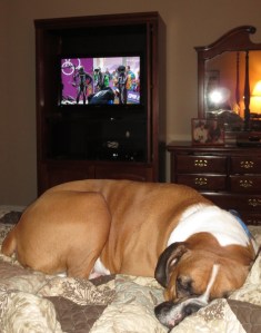 3:30 am just too early for "Rex"