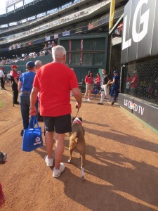 Bark at the Park 2015 030