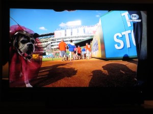 Rex' footage aired on Fox Sports Southwest