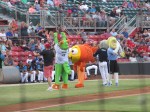 CarolinaMudCats and SalemRedSox 8_9_19&nbsp;020